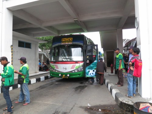 PATAS Bus Service