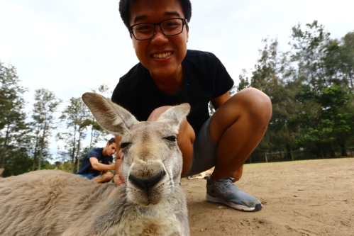 Kangaroo Selfie!